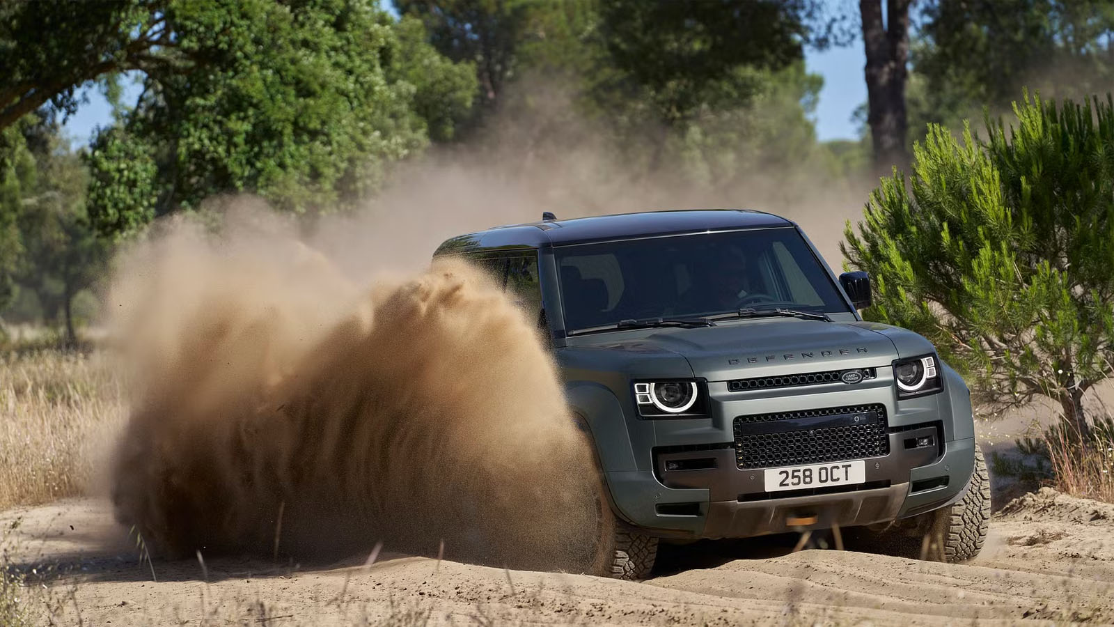 Defender OCTA